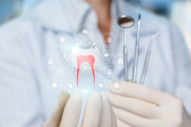 Professional Dental Services in Willmar, MN